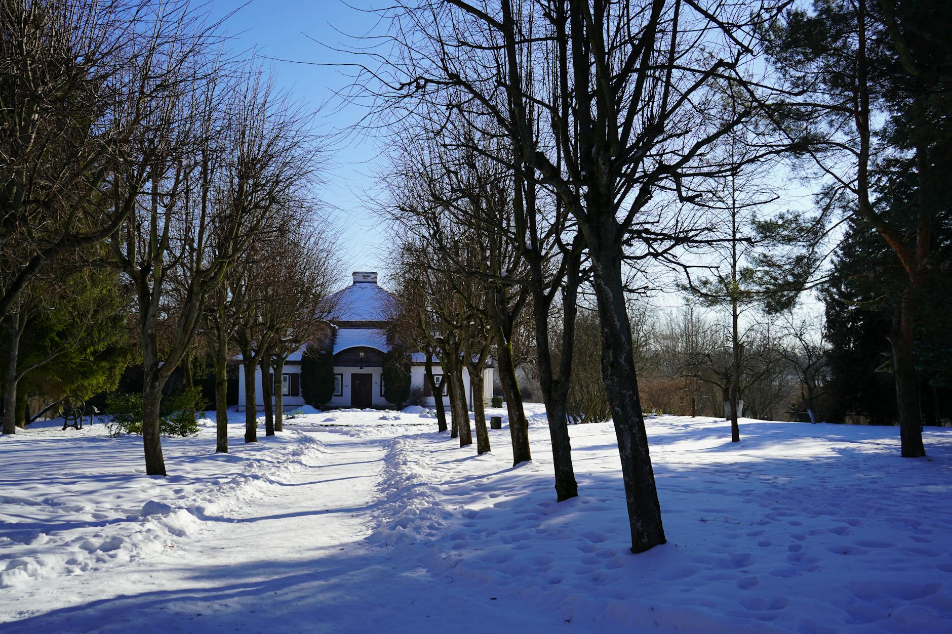 Plakat informujący o Dniach Solidarności Międzypokoleniowej i wsparciu dla osób uzależnionych w Lublinie
