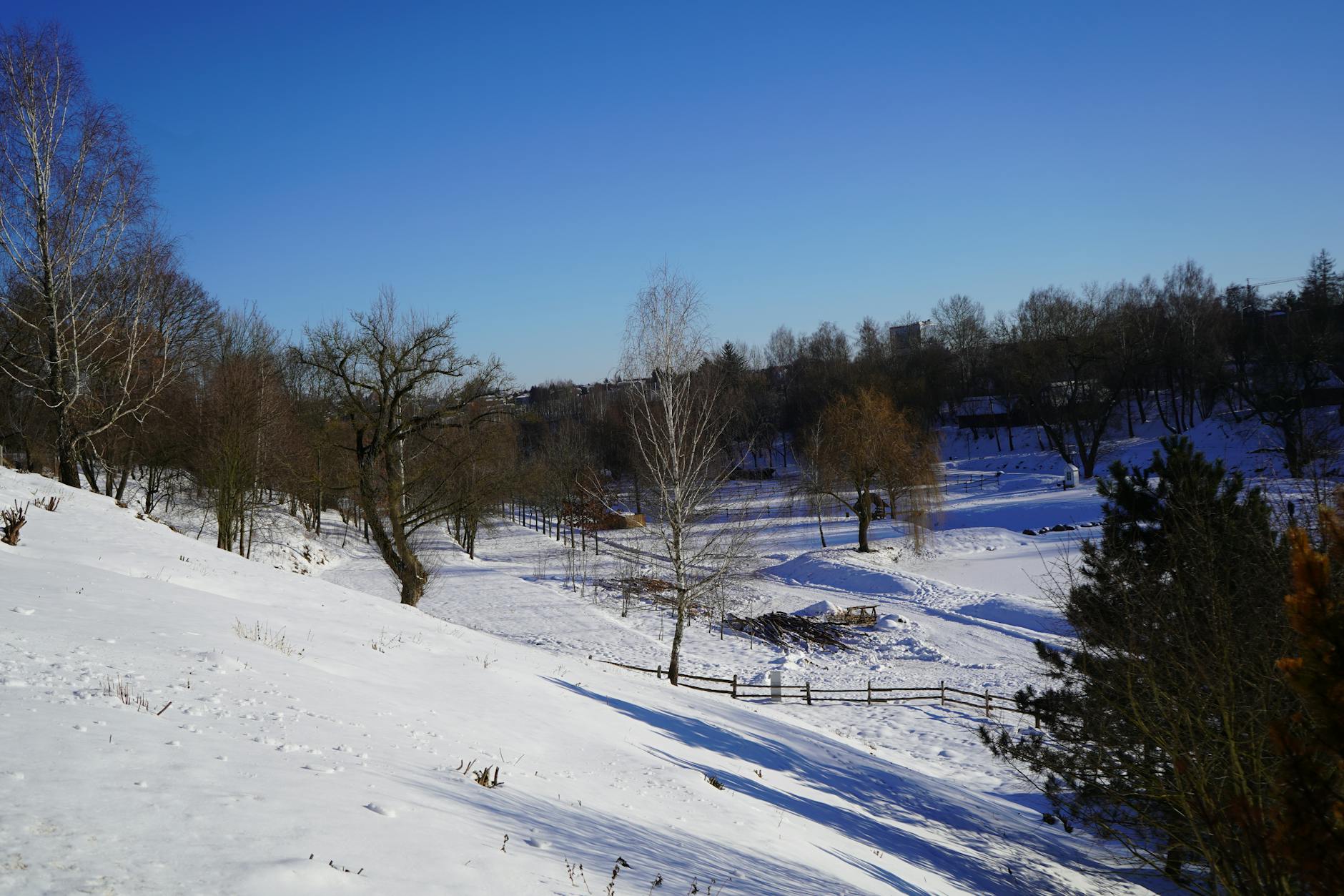 Drużyna juniorów Motor Lublin świętująca zwycięstwo w zawodach sportowych